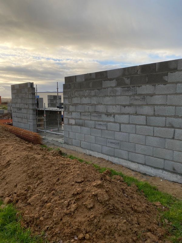 IMG_0604-b8dac164-800h