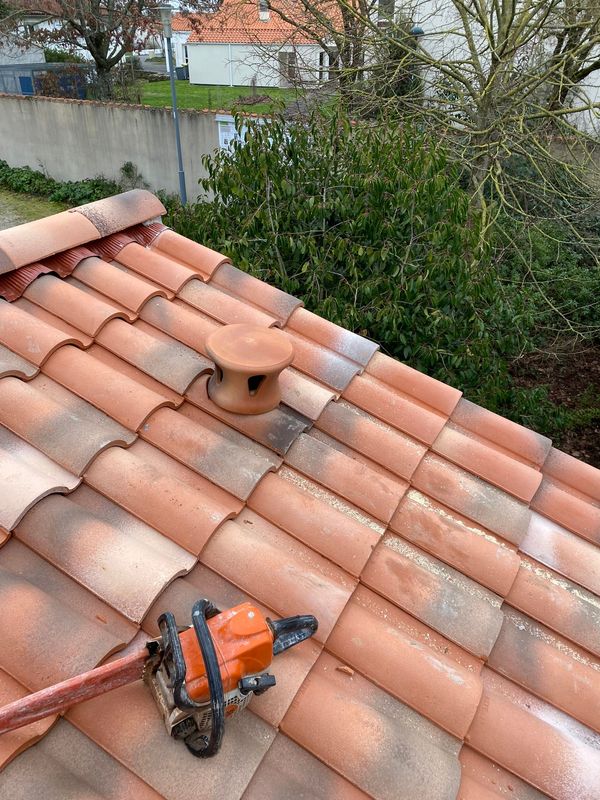 IMG_0796-e6d38eac-800h