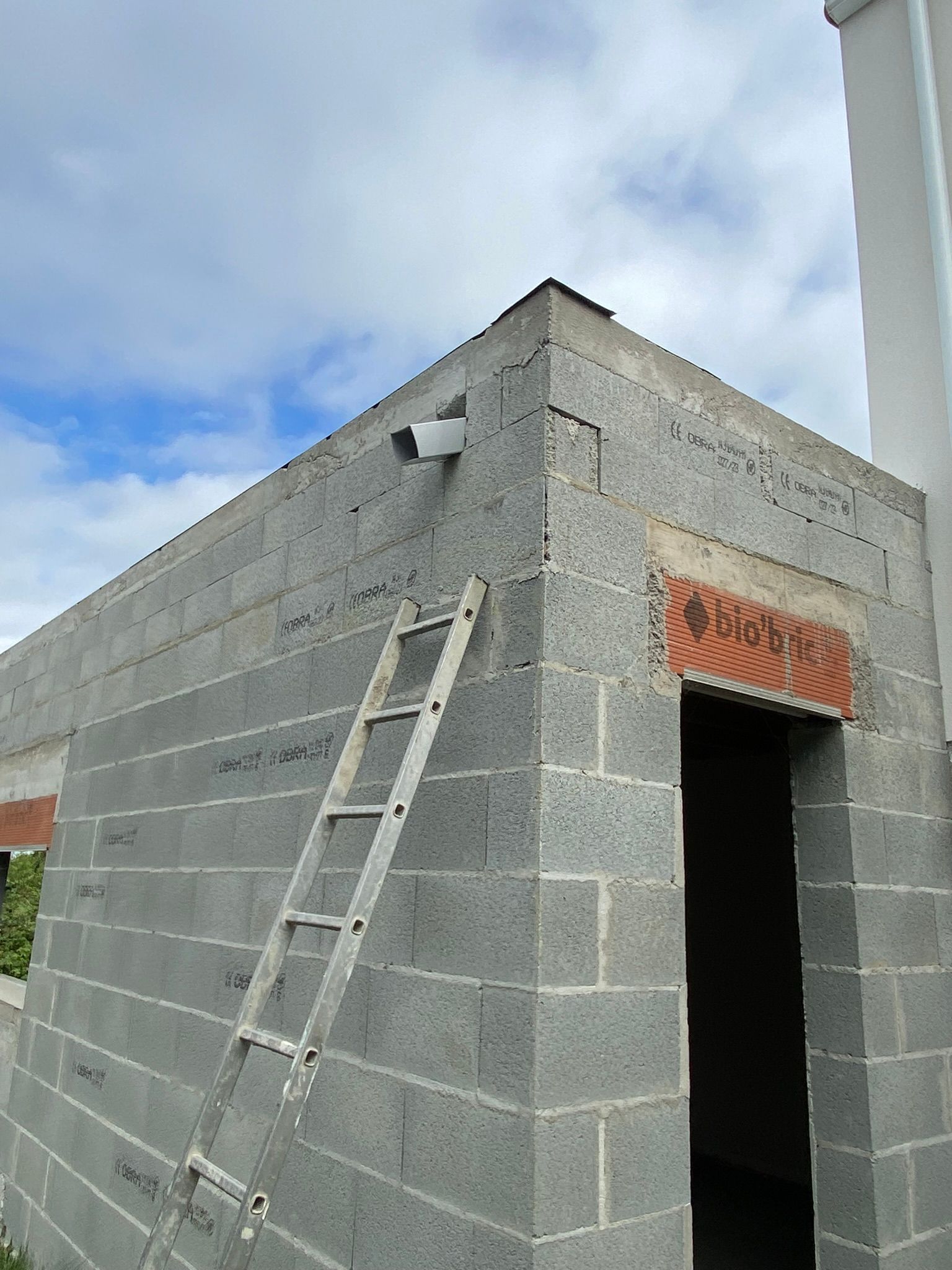 IMG_2677-8d42e749-1920w