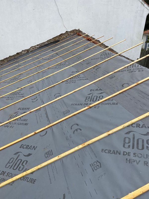 IMG_3570-62c1822a-800h